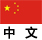 中文